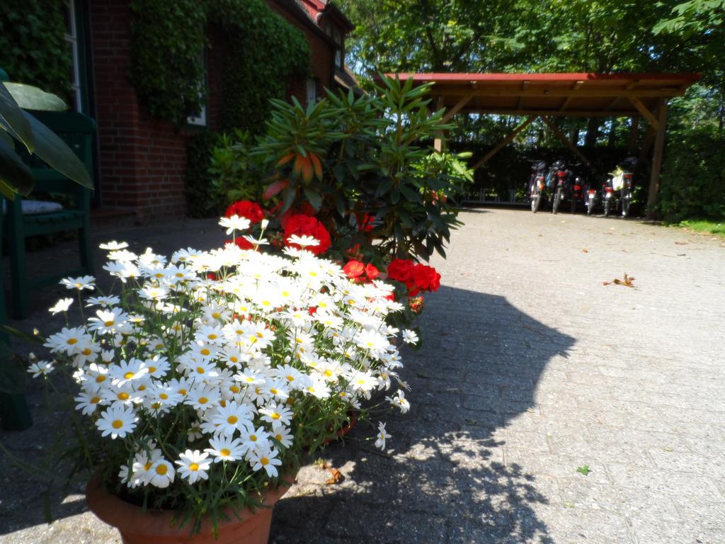 Haus Am Deich Apartment Utersum ภายนอก รูปภาพ